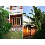 Nhà Phố Đẹp 3 Tầng 110m2 Có Vườn Xanh Mát